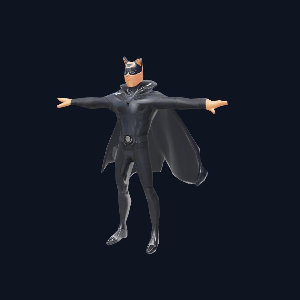 Hero Character Model Pack with Cape and Mask